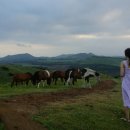 써니허니 게스트하우스 이미지