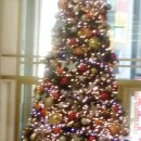 협동조합아리송 이미지