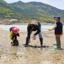 다대어촌체험마을 이미지