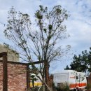 에코 힐링 하우스 2 이미지