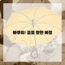 도전 웹툰작가 이미지