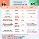 유로랜드 | [프랑스 자유여행] 유로스타 꿀팁, 파리 디즈니랜드 가는법, 티켓, 일루미네이션 후기