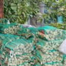 가은에정원 | 🌿문경펜션 가은에정원, 가족여행·워크샵 모두 완벽했던 힐링 숙소 후기🏡