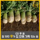 좋은날복권