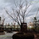 제일어린이공원 화장실 네이버블로그