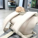 24시청주나음동물메디컬 | 청주 동물병원 24시 야간진료 가능한 용암동 나음 동물병원