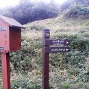 양지1리 마을회관 이미지