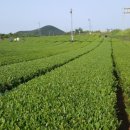 행정사 이의 사무소 이미지