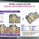 백조농장(2) 네이버블로그