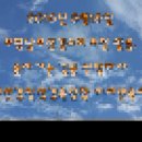 2016년 9월18일/ 부평남부성결교회 초청 말씀./돌아가는 길을 선택하라 /인천경찰청경목실장 이세연목사 이미지