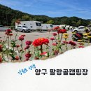 강원도 신생 양구 오토캠핑장 팔랑골캠핑장