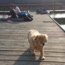 보물섬낚시터 이미지