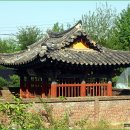 음성군 금왕읍 도청리(陰城郡 金旺邑 道晴里) 정규영(鄭圭永) 효자비, 금왕읍지(金旺邑誌, 1999년)에서 이미지