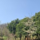 삼학도 이난영공원 입구 이미지