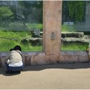 사랑몬테소리 어린이집