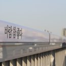 보사모