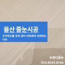 산업로1(북) | 울산줄눈, 대공원호반베르디움2차, 조적욕조에는 꼭 케라폭시