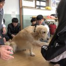 부천부곡중학교 이미지