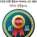 중동096 이미지
