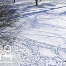 수미민박 이미지