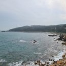 꽃바위 아구찜 이미지