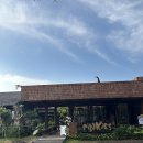 몽키36 | [발리 7박 9일] 우붓 브런치 맛집 몽키포레스트 주변 _Pison Ubud 후기