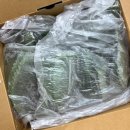 서진농장2 이미지