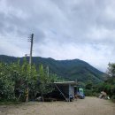 지리산에덴하우스 이미지