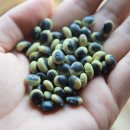 청태농장 이미지