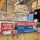 중앙상가A동 | 과천 힐스테이트 가성비 맛집 | 아라아토 회전초밥