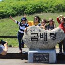 곰배령화원 네이버블로그