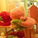 펫 파라다이스 이미지