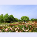 곡성-158 이미지