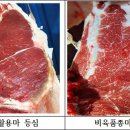 경기도축산진흥센터 이미지