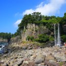 서호초등학교 병설유치원 이미지