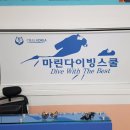 익산다이빙스쿨 네이버블로그