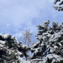 이칠농장 이미지