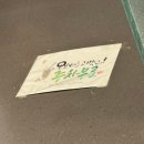 떼르 티스토리