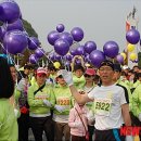 파주통일경기-파주-통일13 이미지