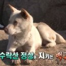 모정농장 라이브엔