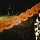 오래캠핑장 이미지