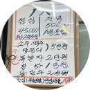 통영 다찌 맛집 쯔양 추천 해녀해물다찌 내돈내산 솔직후기