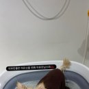 뽀살롱 네이버블로그