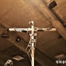 성 비오 10세 대성당(Basilique Saint Pie X) 이미지