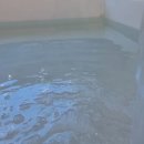 스테이_지 이미지