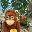 파스타입니다 답십리점 | 답십리 피부관리 후기 뒤집어진 피부 리셋 바나나부띠끄 백설공주케어