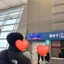 오로라민박 | 인천-뉴욕 OZ222 이코노미 스마티움 탑승 후기ㅣ오로라 관측ㅣ여자 혼자 미국 JFK 공항 입국심사 후기