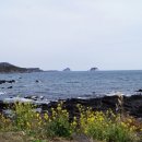 올레민박 이미지