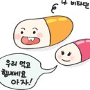 송편 5~7개 = 밥 1그릇... 밥 대신 먹으면 되죠! ~ ^^// - 추석다이어트 이미지