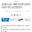 삼성D·LGD, 애플 아이폰16프로 OLED 양산 승인받았다 이미지